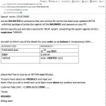 8-10-Norton-Scam-3