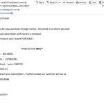 8-10-Norton-Scam-8