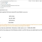 Norton-Scam-7-26