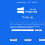 Windows 10 fake key
