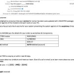 Your PC Support Scam